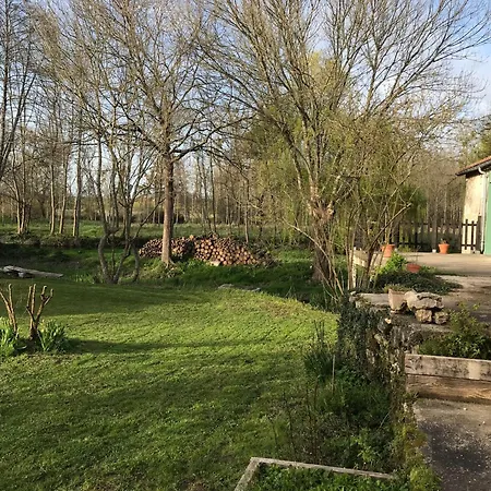 Ancien Moulin A Eau Sur La Seugne