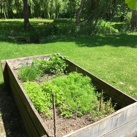 Apartament Ancien Moulin A Eau Sur La Seugne Mosnac (Charente-Maritime)