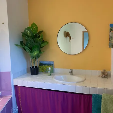 Ancien Moulin A Eau Sur La Seugne Mosnac (Charente-Maritime)