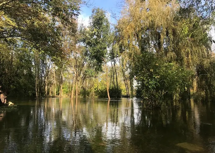 Ancien Moulin A Eau Sur La Seugne Apartment *